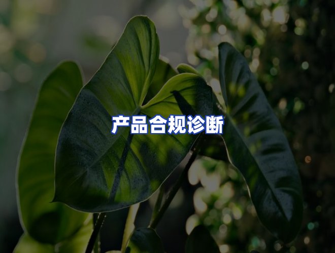专业团队